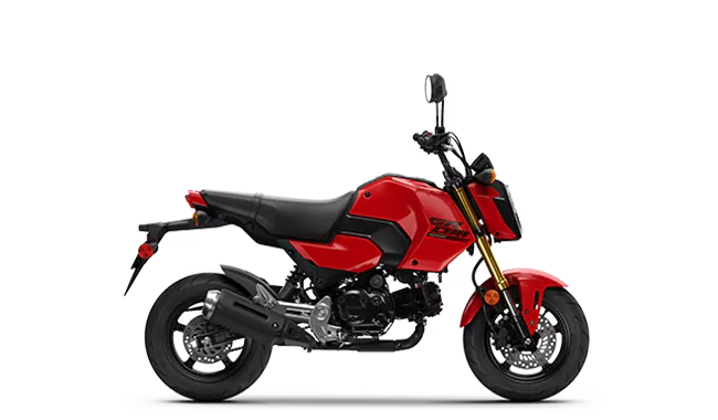 Honda Motorcycles Dealer in Denver Fay Myers Motorcycle World