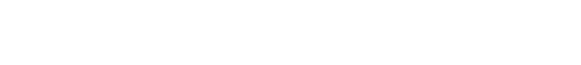 Polaris Logo
