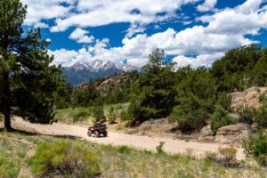 Read more about the article Atv Promotions