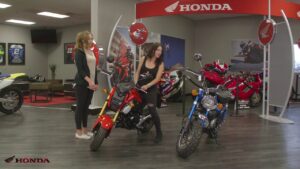 Read more about the article Fm Grom Monkey Comparison