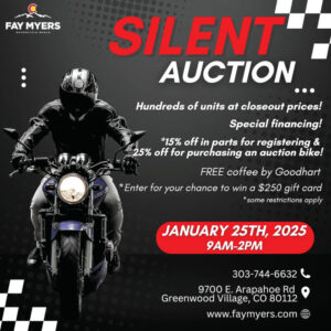 Read more about the article SILENT AUCTION