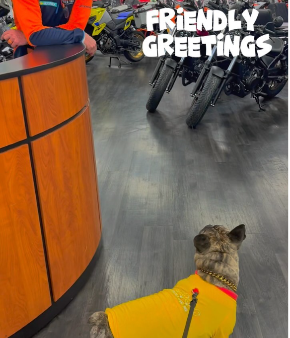 You are currently viewing This place is totally PAWSOME @faymyersdenver 🐾