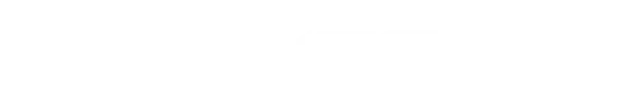 Slingshot Logo