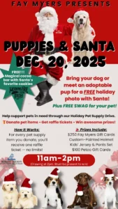 Read more about the article Puppies & Santa