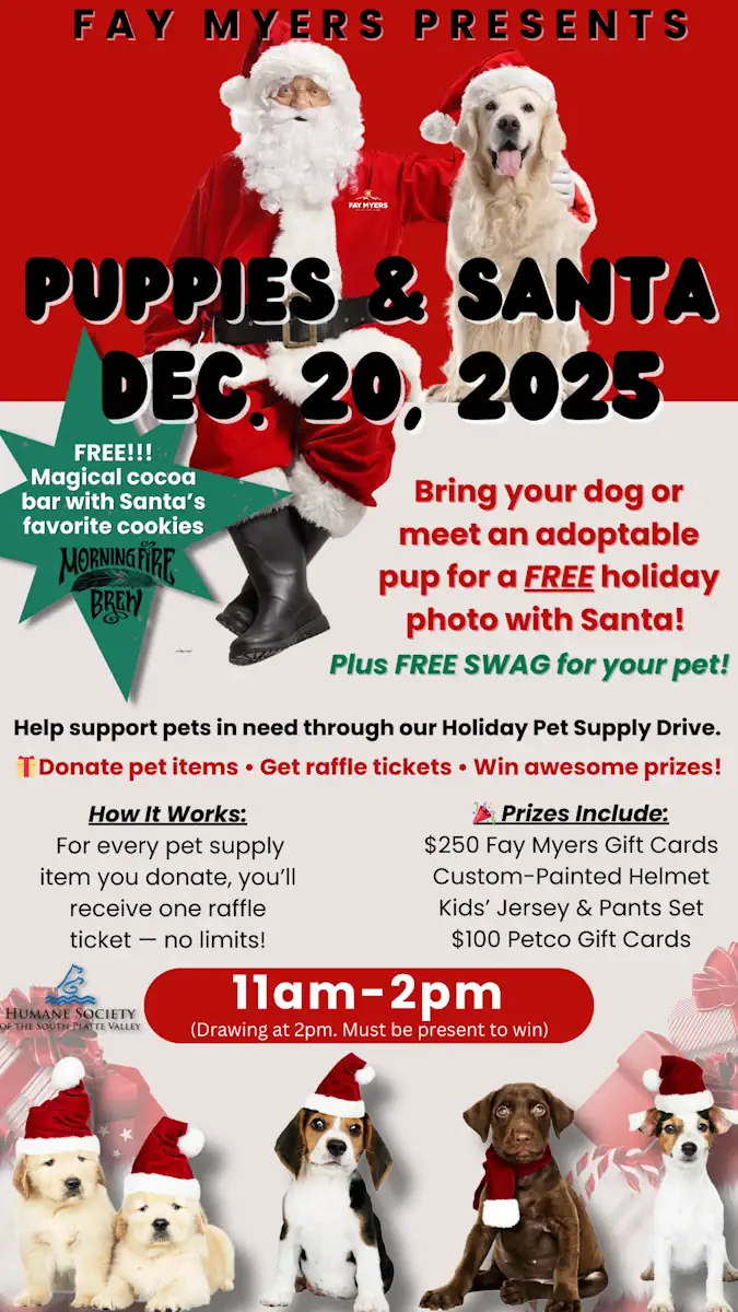 Read more about the article Puppies & Santa